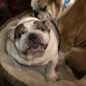 Meet your Posher, Daryl